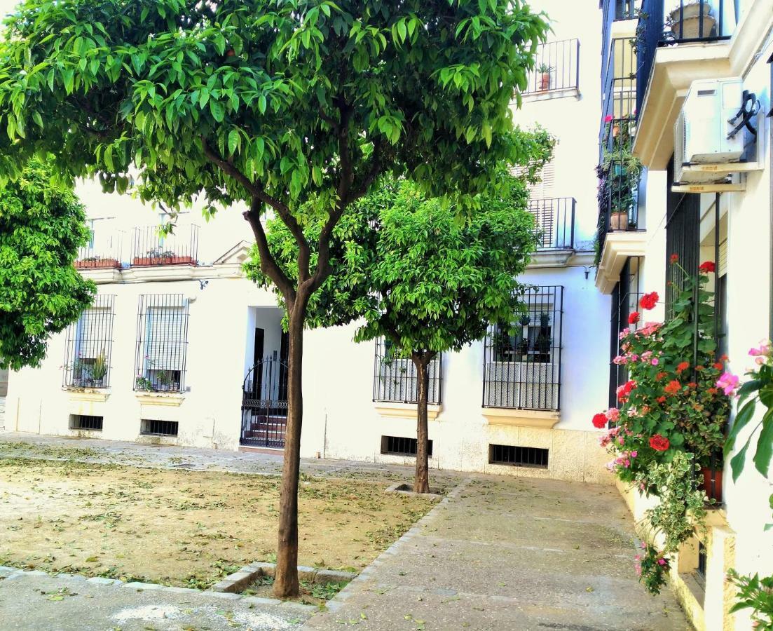 Apartamento Plaza Compania Jerez Херес-де-ла-Фронтера Экстерьер фото